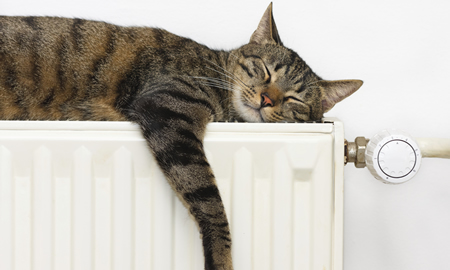 Central heating systems: what kinds are there available?