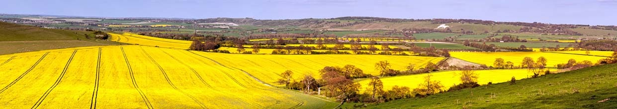 A panorame view of the Hertfordshire and Central Bedfordshire countryside in spring England
